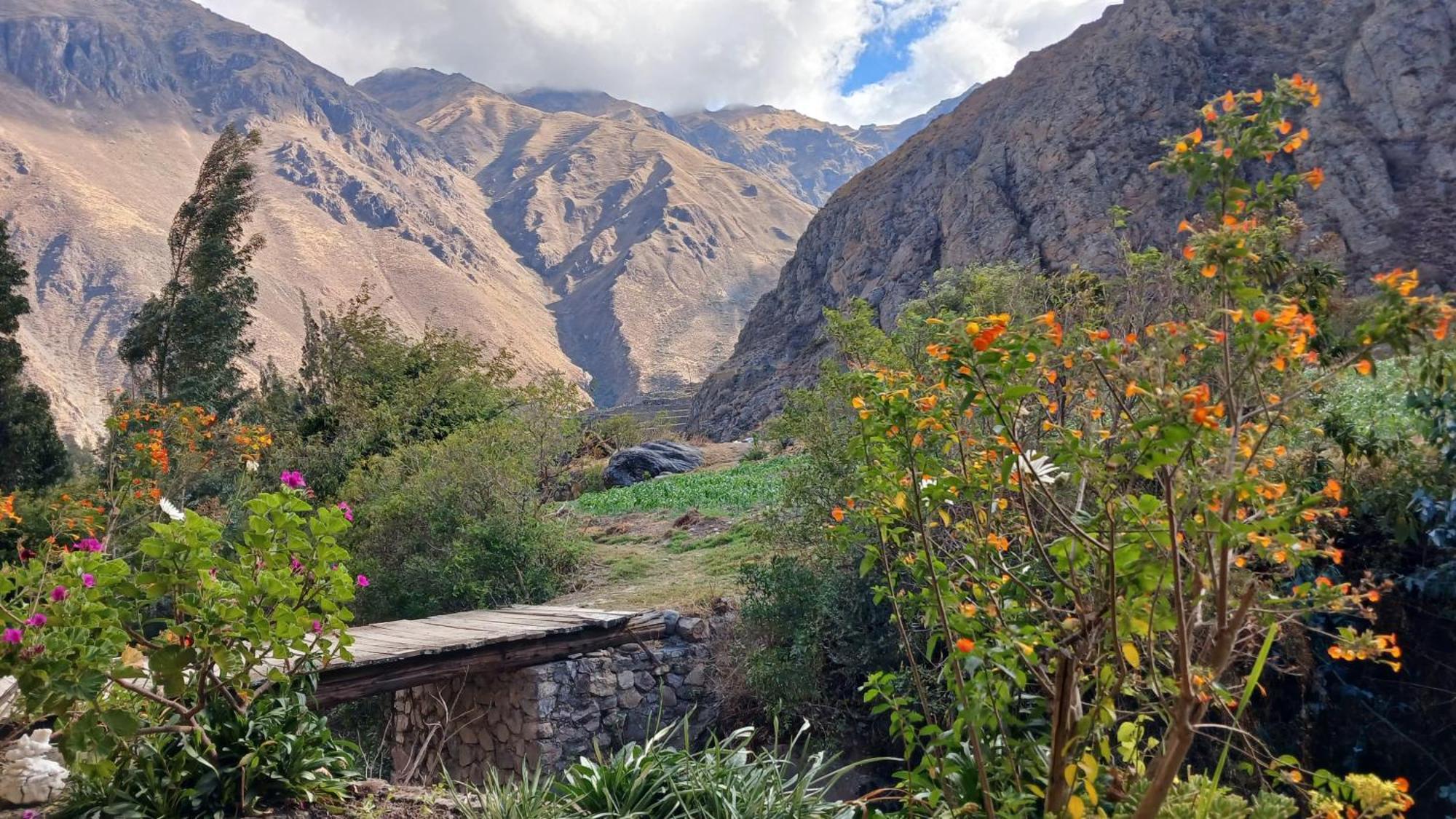 Aromas Andinos Lodge Ollantaytambo Ngoại thất bức ảnh